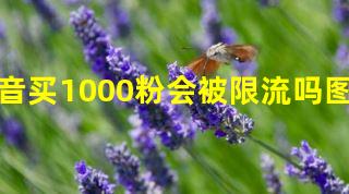 抖音买1000粉会被限流吗