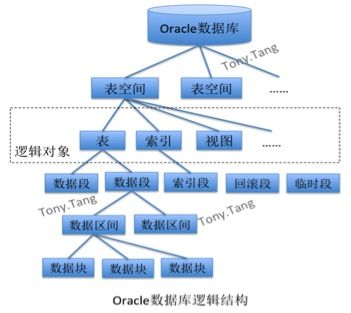 中国植物图像库 添加物种_添加到资料库没反应_xcode5 添加静态库