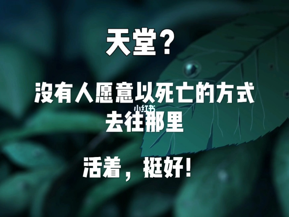 当西索遇到v大阅读_天堂遇到的五个人在线阅读_一个人死了 在天堂里遇到5个人