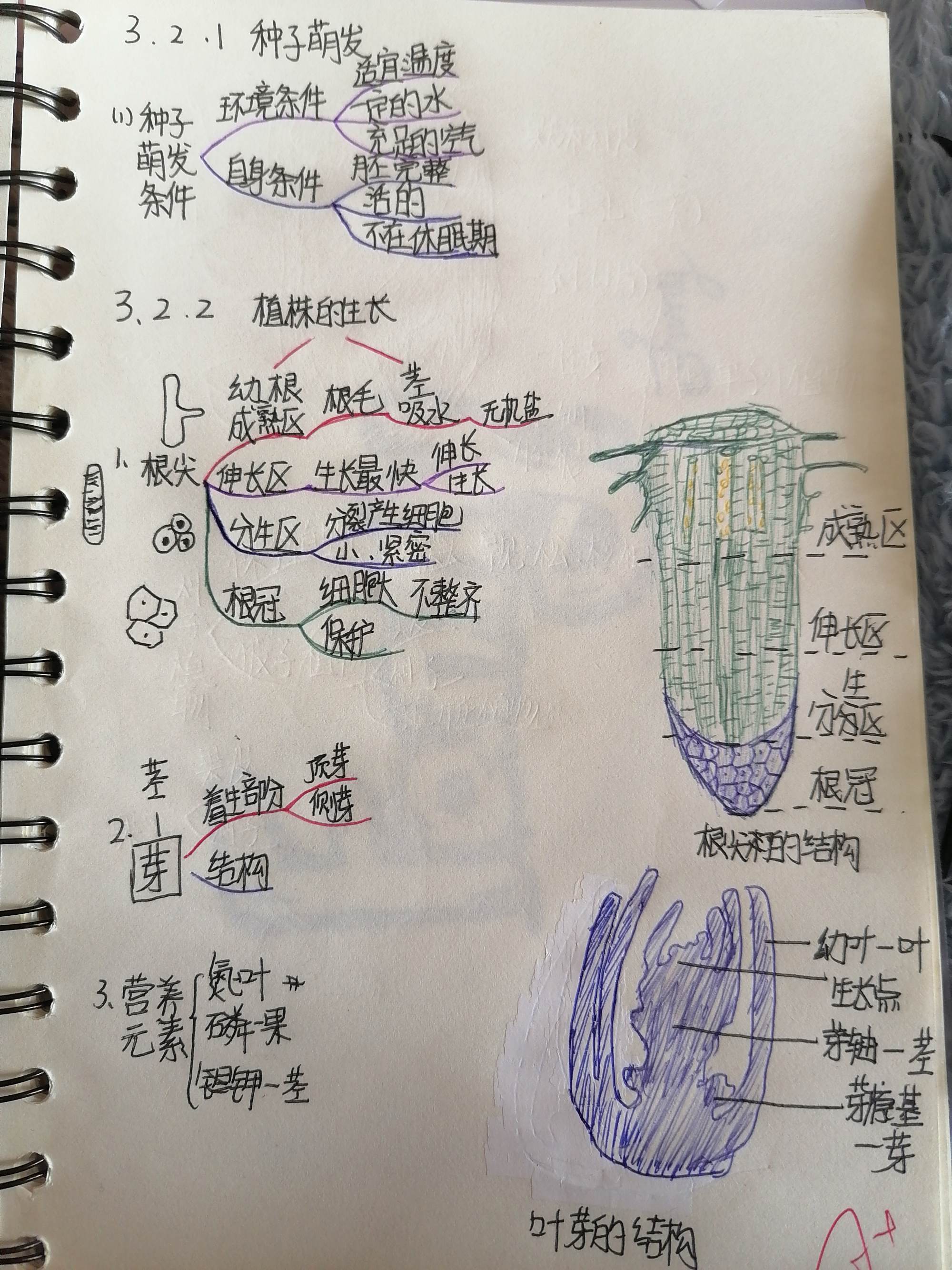 博客换主题有必要吗_小米1s换sd卡后原来手机上的主题字体还在吗_卢松松博客主题