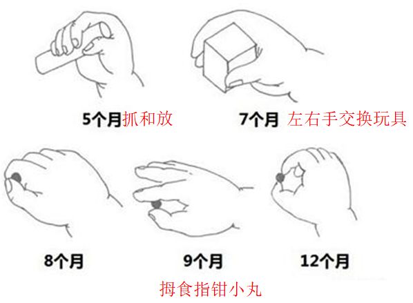 宝宝成长指标测试_3岁1个月宝宝成长指标_记录宝宝成长各项指标分析的网站