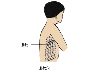 微信小程序代理展示网站_博客文章展示_小程序展示文章