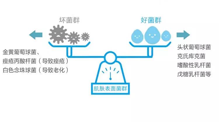 天猫违禁词查询神器_新广告法全文违禁词查询系统_广告语违禁词查询