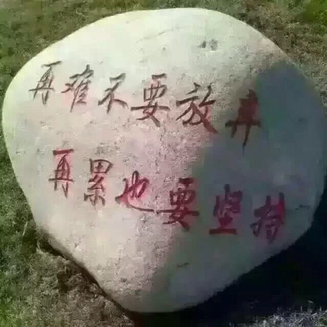 该怎么去爱一个人日志_个人日记和个人日志_个人日志