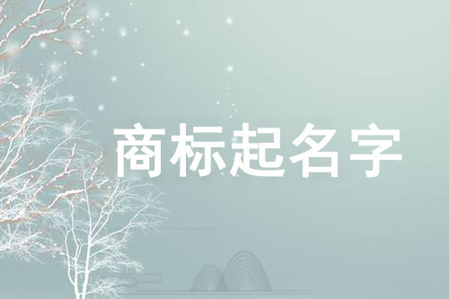 怎样取一个好听的名字_一般注册公司取什么名字好_给 取一个好名字作文