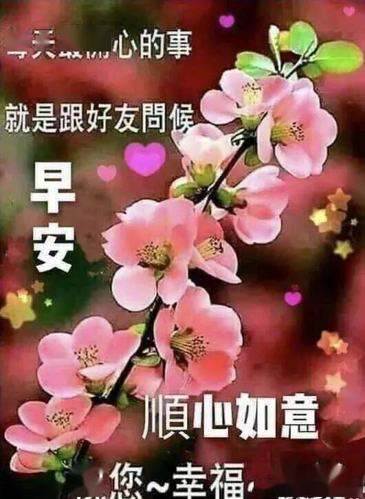 减肥早上吃什么早餐好_早上好相关图片_早上喝酸奶好还是纯奶好